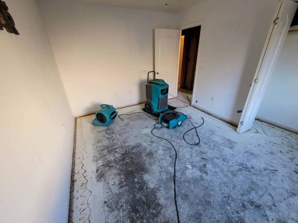Best Sewage cleanup and water damage restoration  in Rineyville, KY