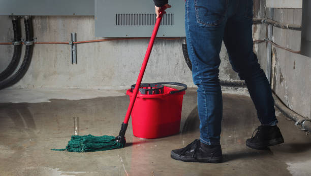 Best 24/7 water damage repair  in Rineyville, KY