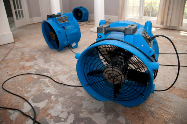 Best Ceiling water damage repair  in Rineyville, KY
