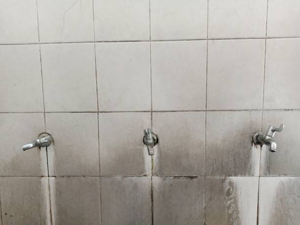 Best Water damage restoration mold remediation  in Rineyville, KY