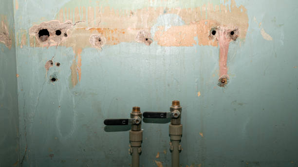 Best Local water damage restoration  in Rineyville, KY
