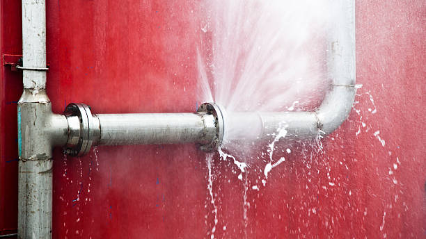 Best Water damage restoration near me  in Rineyville, KY
