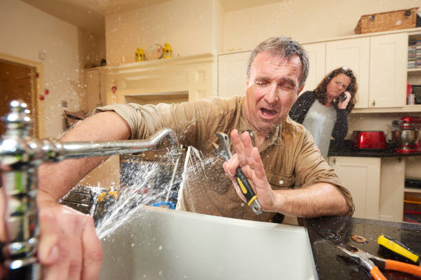 Best Flood damage cleanup  in Rineyville, KY